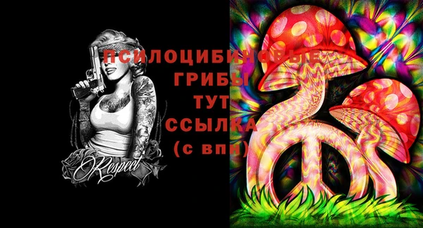 кокс Карпинск