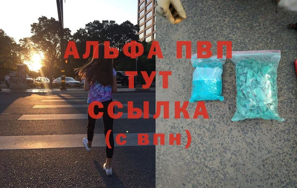 мет Касимов