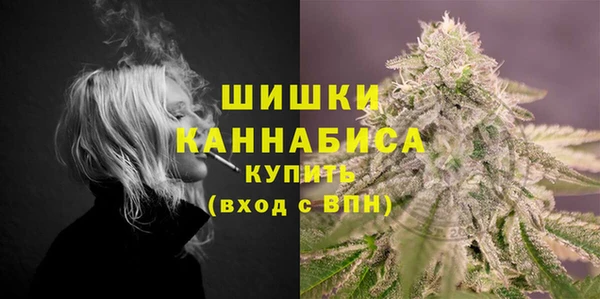мет Касимов